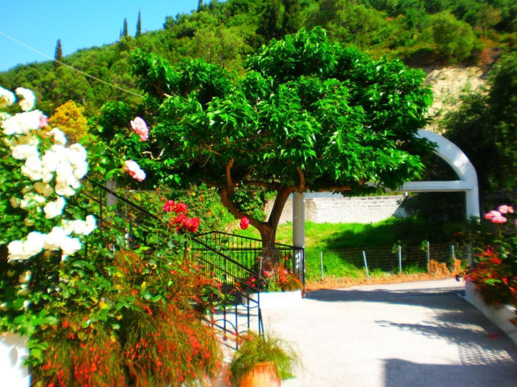 Oasis Hotell Parga Eksteriør bilde